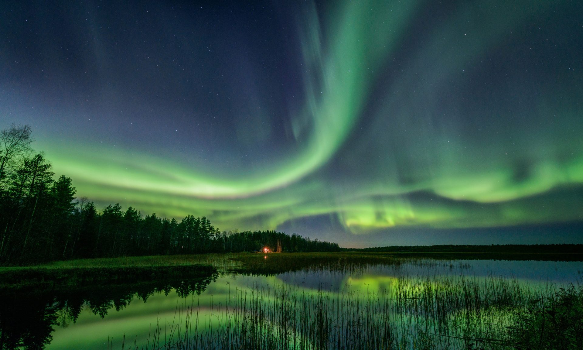 Revontulia yötaivaalla metsän ja vesistön yllä. Kuva Thomas Kast.