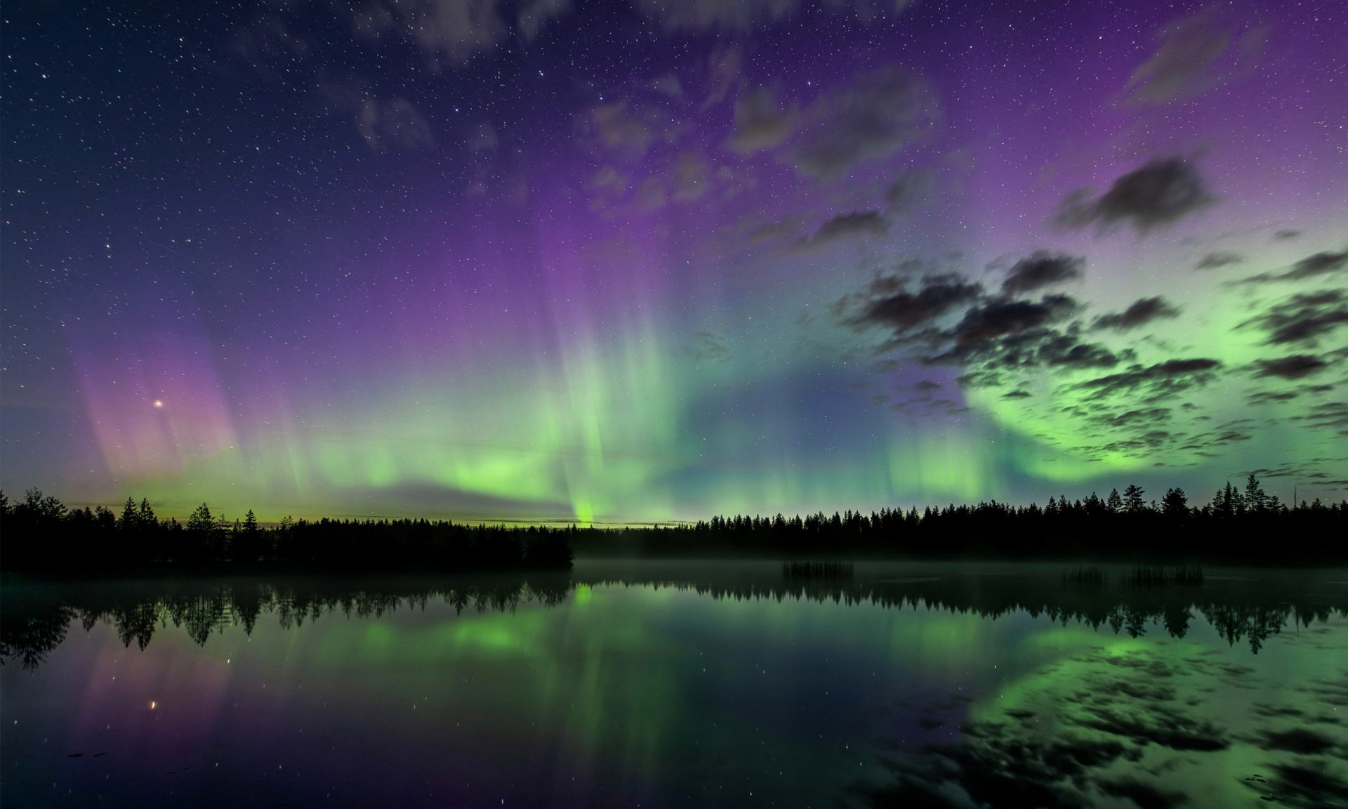 Revontulia yötaivaalla metsän ja vesistön yllä.